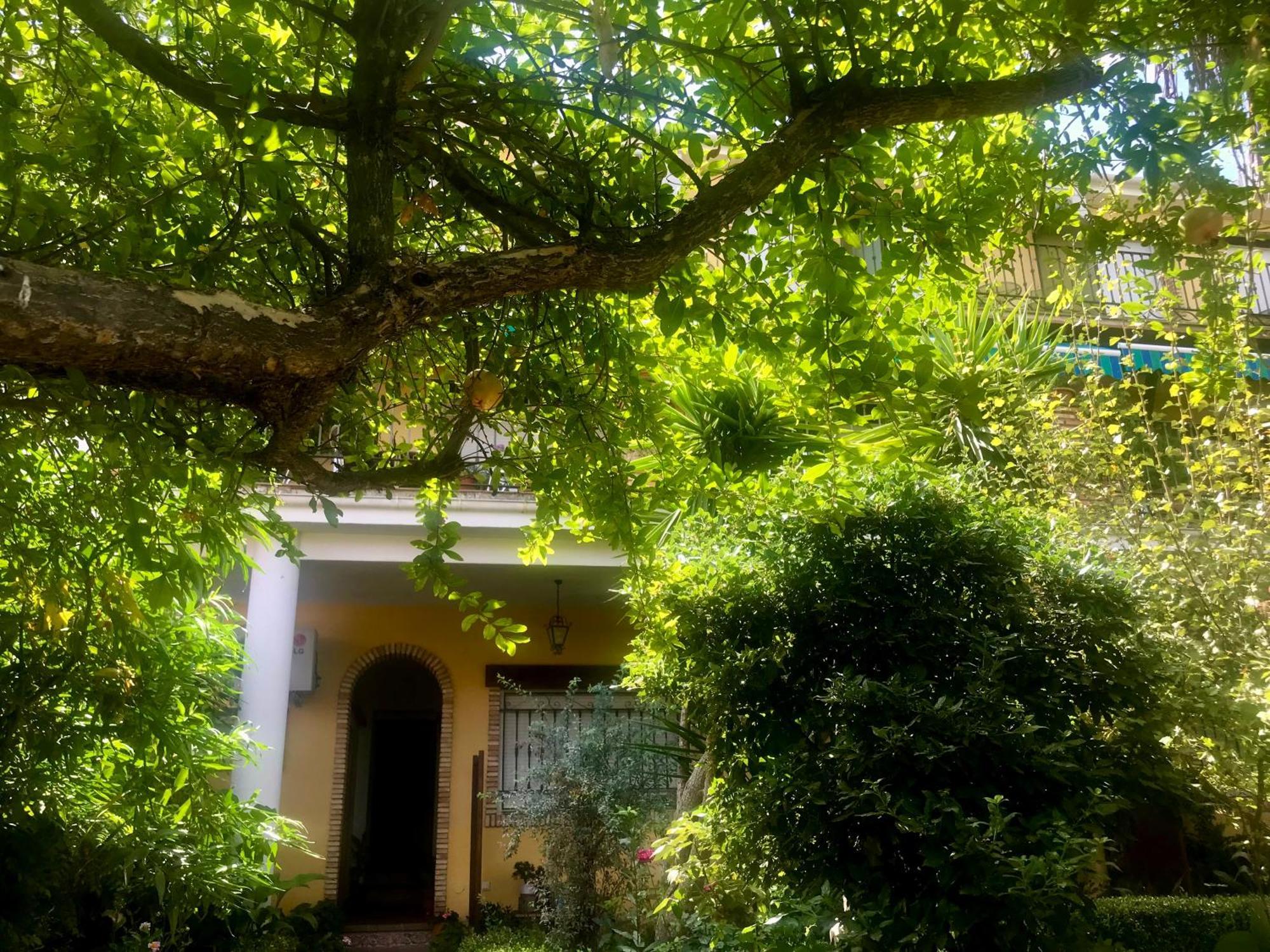 La Finca Mercedes La Iruela Exterior foto