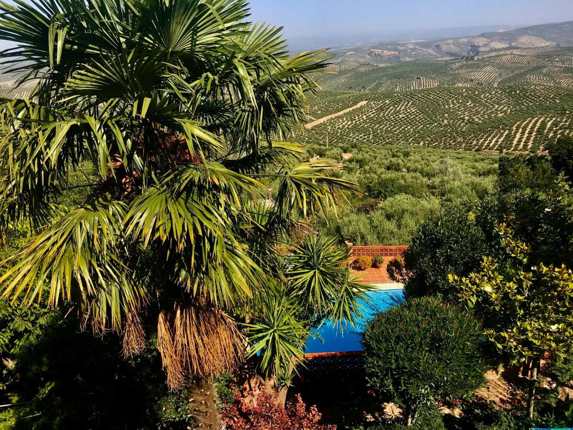 La Finca Mercedes La Iruela Exterior foto